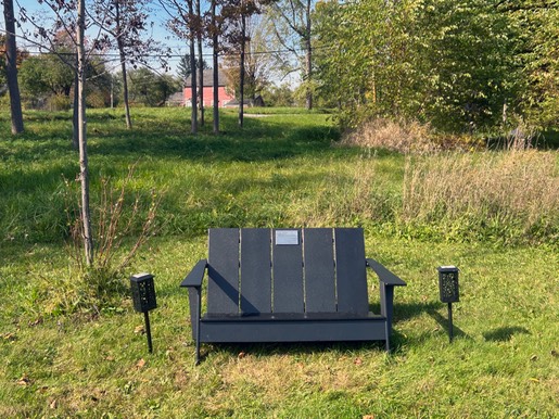 Bench w,o tree