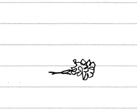 Bouquet JPEG
